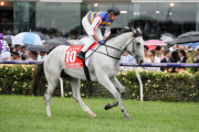 2019 MELBOURNE CUP CARNIVAL: Jockey-signed saddlecloths for GROUP 1 participants at the carnival comprising AAMI VICTORIAN DERBY - Horse No.1 SHADOW HERO, signed by Joshua Parr, Horse No.2 SOUL PATCH, signed by Dwayne Dunn, Horse No.8 LONG JACK, signed by - 13