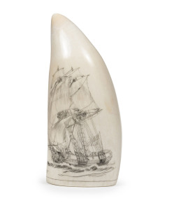 A scrimshaw whale's tooth with tallship and sailor portrait, ​13cm high