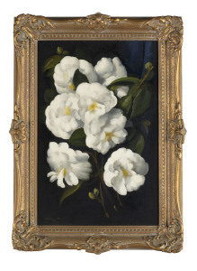 DUDLEY DREW (1924-2015), white camellias, oil on board, signed lower left "Dudley Drew", 45 x 30cm