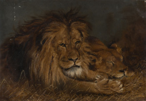 Artist Unknown (Lions resting) oil on board,