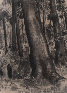 WIM KORTLAND (1923-), Royal Botanic Gardens, Melbourne, 1975, charcoal and crayon, signed and titled lower left "Wim Kortland", 62 x 45cm