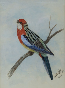 NEVILLE WILLIAM CAYLEY (1886-1950), Rosella, watercolour, signed lower right "Neville Cayley, Sydney, 1902", 31 x 23cm