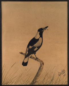 NEVILLE CAYLEY Snr. (1853-1903), magpie with dragonfly, watercolour, signed lower right "Neville Cayley, 1896", 60 x 48cm