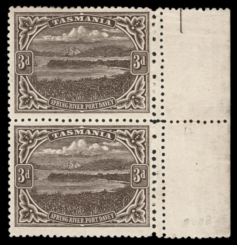 TASMANIA: 1905-11 (SG.253c) Typo Using Electrotyped Plates 3d brown, perforated 12½ x 11 vertical marginal pair, both units also displaying the double vertical row of different perf gauges at right. Upper unit Mint; lower unit MUH. Cat.£850+.