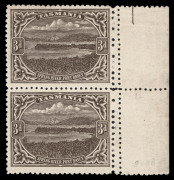 TASMANIA: 1905-11 (SG.253c) Typo Using Electrotyped Plates 3d brown, perforated 12½ x 11 vertical marginal pair, both units also displaying the double vertical row of different perf gauges at right. Upper unit Mint; lower unit MUH. Cat.£850+.