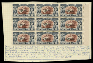 NEW ZEALAND: OFFICIALS: 1936-61 Pictorials (SG.O124) 2½d red-brown & blue-slate mostly multiples with marginal blocks of 9 (5) and blocks of 6 (2) with specialist annotations identifying plate scratches, re-entries and retouches, usually on the frame plate; also blocks of 4 (6) pairs (2) & singles (3); generally fine mint/MUH minimum Cat. £1200+ without a premium for the many varieties. (88)
