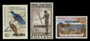 PAPUA NEW GUINEA: 1952-65 Overprinted 'SPECIMEN' group comprising 1952 10/- Map & &pound;1 Fisherman MUH, 1963 10/- Rabaul & &pound;1 QEII MVLH, 1964 10/- Bird MUH. Desirable group. (5). - 3