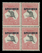 AUSTRALIA: Kangaroos - CofA Watermark: 10/-, £1 & £2 with Type D 'SPECIMEN' overprints in blocks of 4, 10/- (minor perf tones) both lower units unlisted "Blunt-nosed kangaroo", £2 upper-left unit "Fox-faced kangaroo" [R38]; mild even gum tone £1 & £2 blo