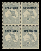 AUSTRALIA: Kangaroos - CofA Watermark: 10/-, £1 & £2 with Type D 'SPECIMEN' overprints in blocks of 4, 10/- (minor perf tones) both lower units unlisted "Blunt-nosed kangaroo", £2 upper-left unit "Fox-faced kangaroo" [R38]; mild even gum tone £1 & £2 blo - 2