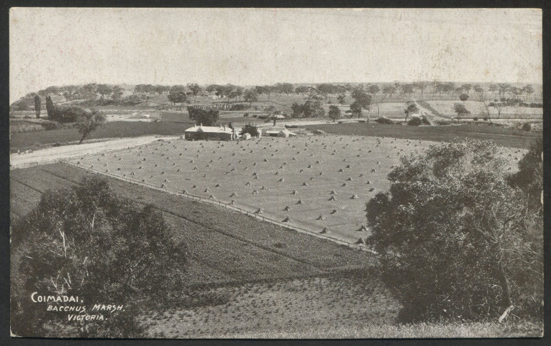 AUSTRALIA: Postal Stationery: Postal Cards: 1911 1d KGV Scenic Views of Victoria, Setting 2 - 'P' of 'POST' 3mm from Central Dividing Line, in Brown-Red on surfaced buff stock, view 'Coimadai, Bacchus Marsh, Victoria' (in sepia), fine unused. BW:P22/(1)C