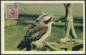 Australia: Other Pre-Decimals: 1942 (SG.190) 6d Kookaburra, attractively tied on a coloured Maximum card; cds dated July 1953.