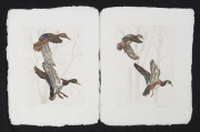 Limited edition hand-coloured Duck prints by Victor Holm on handmade paper, comprising three large sized (37 x 27.50cm) and four smaller (20 x 15cm) prints, each from limited editions of 375, all are signed by the artist. (7 items) - 2