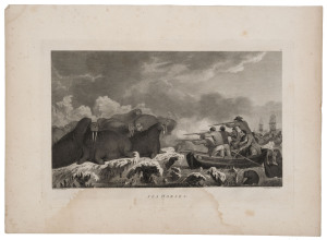 John WEBBER (1752 - 1793), "A View of CHRISTMAS HARBOUR, in KERGUELEN'S LAND." and "SEA HORSES", two engraved plates based on Webber's original drawings and paintings, published Scatcherd and Whitaker in 1784, from Cook & King's, "A Voyage to the Pacific Ocean....". (2 items).