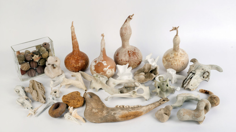 NATURAL HISTORY collection of shells, sea urchins, gourds, rocks and bones,