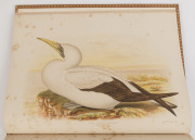 Gracius J. BRIONOWSKI, The Birds of Australia, in six volumes [Charles Sturt & Co.,], 1890. Modern rebinding in leather with gilt decorations and raised bands to the spines. - 4