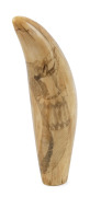 A scrimshaw whale's tooth decorated with Pacific Islander figures blowing conch horns, 17cm high - 2