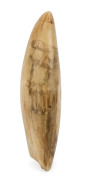 A scrimshaw whale's tooth decorated with Pacific Islander figures blowing conch horns, 17cm high - 3