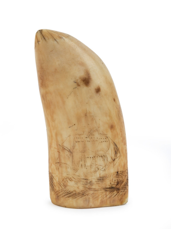 A scrimshaw whale's tooth with whaling scene, ​14cm high