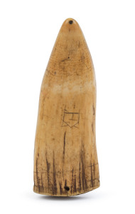 TABUA sperm whale's tooth pendant, Fijian origin, 19th century, 16.5cm high