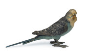 FRANZ BERGMANN Austrian cold painted bronze budgerigar, circa 1900, 17cm long