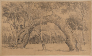 JAMES WALTHAM CURTIS (c1839 - 1901) Attrib. (On this Spot 28 Dec'r 1836) pencil drawing, laid down on card, c1886, 30.5 x 51cm.