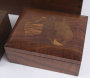 Four assorted Australian timber boxes including a fiddleback blackwood example inlaid with the map of Australia, 19th and 20th century, the map box 8cm high, 18cm wide, 14.5cm deep - 3