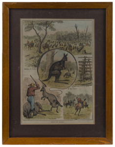 "HUNTING THE KANGAROO" hand-coloured lithograph newspaper supplement, circa 1883, 37 x 25cm