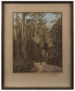 Two framed vintage photographs of a waterfall and a road in the Dandenong Ranges, early 20th century, ​the waterfall 28 x 39cm