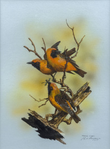 PAUL MARGOCSY (1945 - ), Orange Chats, watercolour, signed and titled lower right "Paul Margocsy", ​30 x 22cm