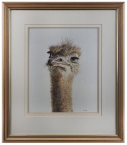 JAN LONG (B.1945), The Ostrich, watercolour, signed lower right, 45 x 36cm.