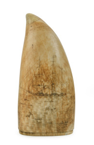 A scrimshaw whale's tooth with tallship and whaling scene, 13.5cm high