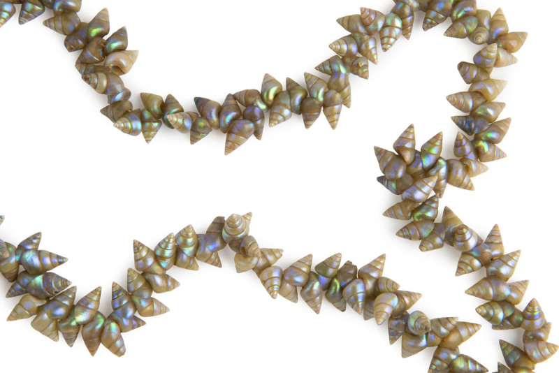 An impressive Tasmanian mariner shell bead necklace, ​175cm long