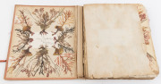 SEAWEED: An old-time album into which numerous annotated examples of seaweeds have been displayed. Nearly every example is dated and located, with examples including Lough Foyle, Ireland 1848, Lough Swilly, Ireland 1853, Moville, Ireland 1854, Cape of Goo - 4