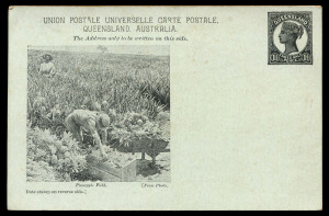 POSTAL CARDS (VIEWS): 1898 1½d Medallion Portrait Post Card Essay Proof on blue-green stock, captioned image of 'Pineapple Field'; plus the issued design registered in 1900 (Jan.11) to England with 3d added, being the only known example of a registered card. Ex R. A. Butler. (2) It was never intended that Postal Cards be available for registration however no specific provision was made in the 1891 Regulations to prevent or prohibit such use.