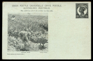 POSTAL CARDS (VIEWS): 1898 1½d Medallion Portrait Post Card Essay Proof on blue-green stock, captioned image of 'Pineapple Field'; plus the issued design registered in 1900 (Jan.11) to England with 3d added, being the only known example of a registered ca