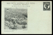 POSTAL CARDS (VIEWS): 1898 1&frac12;d Medallion Portrait Post Card Essay Proof on blue-green stock, captioned image of 'Pineapple Field'; plus the issued design registered in 1900 (Jan.11) to England with 3d added, being the only known example of a registered ca
