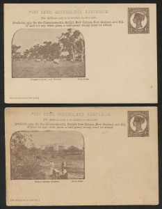 QUEENSLAND - Postal Stationery : POSTAL CARDS (VIEWS): (H&G #12 & 12a) 1904 Medallion Portrait 1d Chocolate-Brown cards with images of "Botanic Gardens, Brisbane" on poor quality stock as originally issued, and "Glengallan Station, near Warwick" on better quality, whiter card, issued towards the end of the printing; unused. Scarce and underrated. (2)