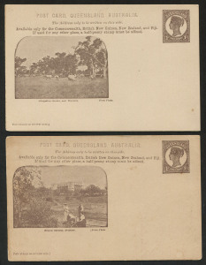 QUEENSLAND - Postal Stationery : POSTAL CARDS (VIEWS): (H&G #12 & 12a) 1904 Medallion Portrait 1d Chocolate-Brown cards with images of "Botanic Gardens, Brisbane" on poor quality stock as originally issued, and "Glengallan Station, near Warwick" on better