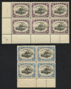 PAPUA : 1907-10 (SG.61-62) Small 'PAPUA' Wmk Sideways P.11 2d corner block of 6, upper right unit "Rift faw" lower right unit "Comet Flaw", lower centre unit "White leaves"; also 2&frac12;d marginal block of 4 with the same flaws (storage-related tone banding on