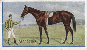 1907 Sniders & Abrahams "Australian Racehorses", almost complete set [56/57], includes scarce error card "Magazine", but missing replacement card "Maximise Late Magazine". G/VG.