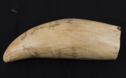 A scrimshaw whale's tooth decorated with Pacific Islander figures blowing conch horns, 17cm high - 5