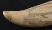 A scrimshaw whale's tooth decorated with Pacific Islander figures blowing conch horns, 17cm high - 6