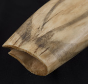 A scrimshaw whale's tooth decorated with Pacific Islander figures blowing conch horns, 17cm high - 7