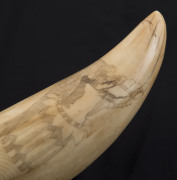 A scrimshaw whale's tooth decorated with Pacific Islander figures blowing conch horns, 17cm high - 11