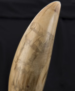 A scrimshaw whale's tooth decorated with Pacific Islander figures blowing conch horns, 17cm high - 12