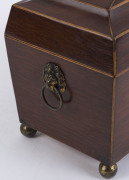 A Regency tea caddy, casuarina and pine with brass lion handles and bun feet, circa 1825, interior fitted with casuarina compartments and glass mixing bowl, 22cm high, 31cm wide, 15cm deep - 4