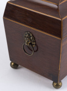 A Regency tea caddy, casuarina and pine with brass lion handles and bun feet, circa 1825, interior fitted with casuarina compartments and glass mixing bowl, 22cm high, 31cm wide, 15cm deep - 6