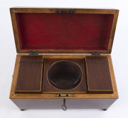 A Regency tea caddy, casuarina and pine with brass lion handles and bun feet, circa 1825, interior fitted with casuarina compartments and glass mixing bowl, 22cm high, 31cm wide, 15cm deep - 8