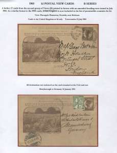 QUEENSLAND - Postal Stationery : POSTAL CARDS (VIEWS): (H&G #14) 1905 Medallion Portrait 1d Chocolate-Brown ("United Kingdom" added to header of permissible countries for 1d rate) on poor quality stock comprising view "Pineapple Plantation, Nundah, near B