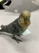 FRANZ BERGMANN Austrian cold painted bronze budgerigar, circa 1900, 17cm long - 2